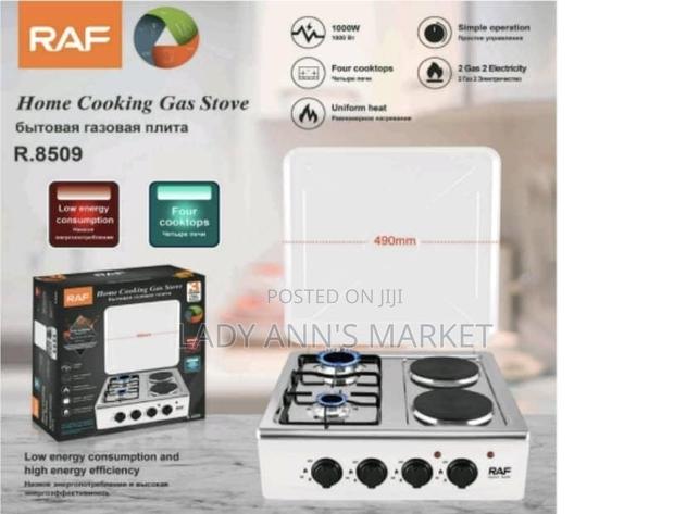 Electric and Gas Burner