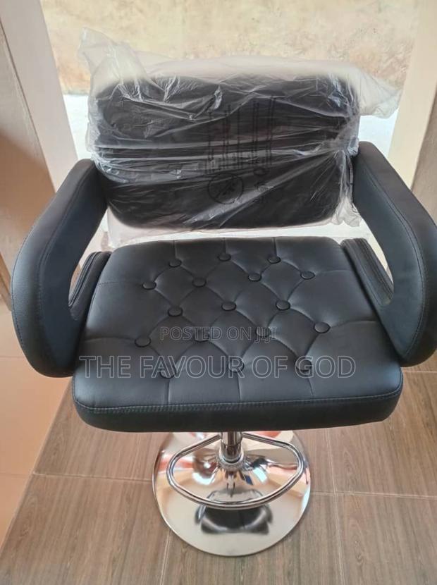 An Elegant Saloon Chair