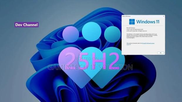 Windows Installation · Photo 4