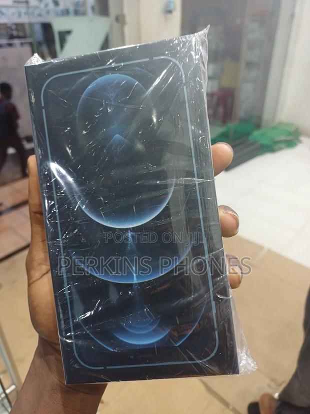 New Apple iPhone 12 Pro Max 256 GB Blue photo 2