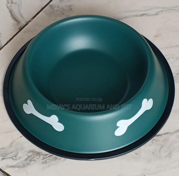 Medium Dog Bowl · Photo 2