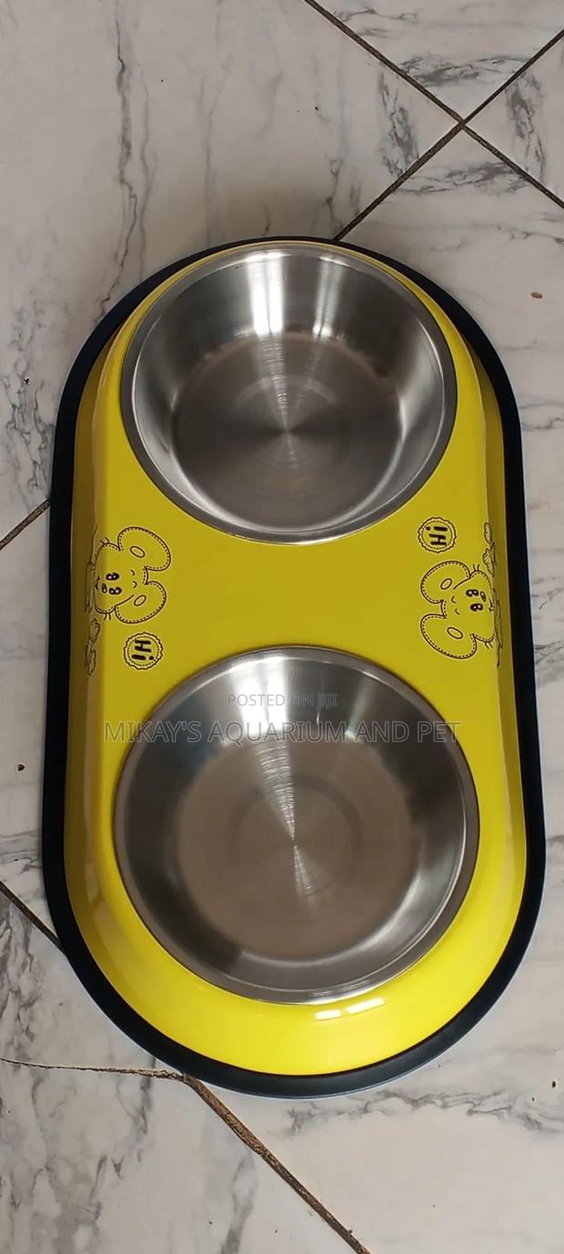 Bowl for Dog · Photo 3