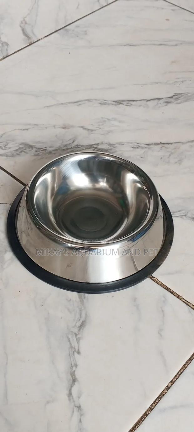 Small Dog Bowl for Feeding · Photo 2