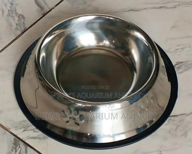 Large Dog Bowl for Feeding · Photo 2