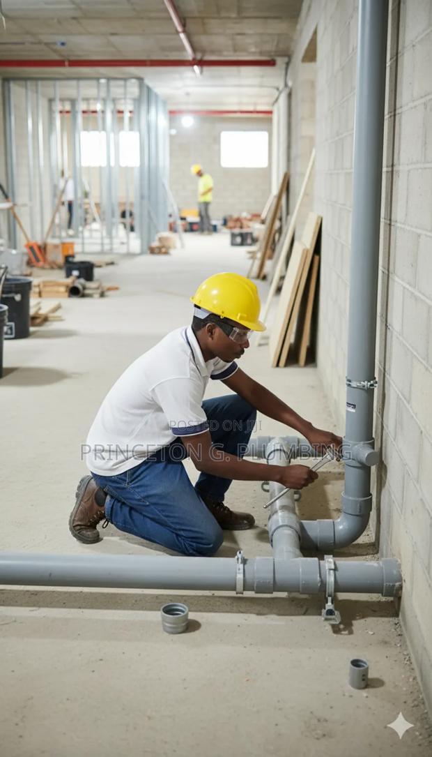 Professional Plumber