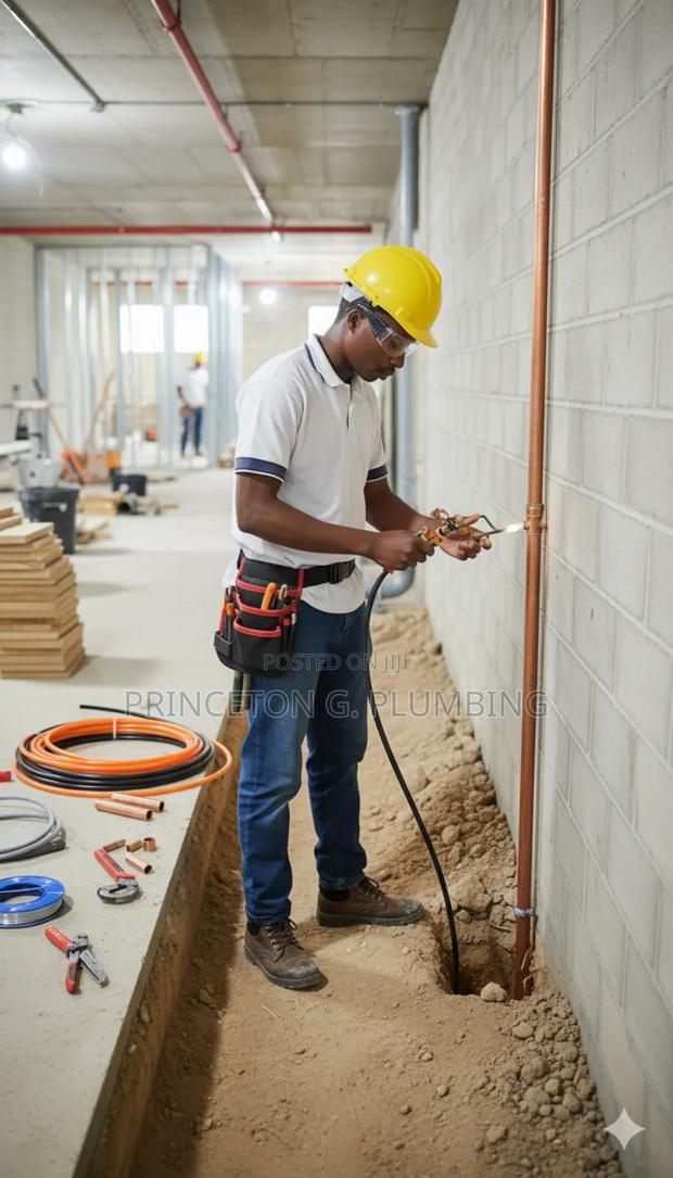 Professional Plumber photo 3