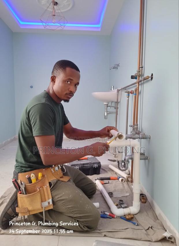 Professional Plumber photo 5