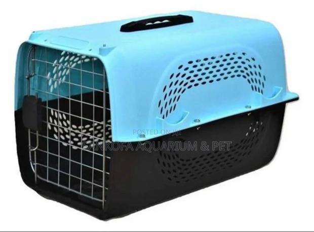 Strong Plastic Traveling Dog Cage · Photo 2