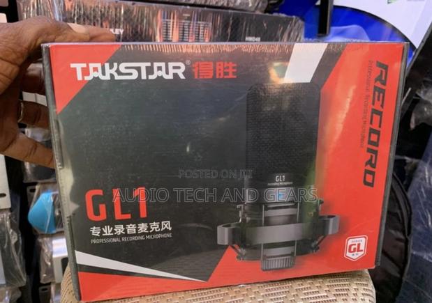 Takstar Gl1 Condenser Microphone · Photo 2