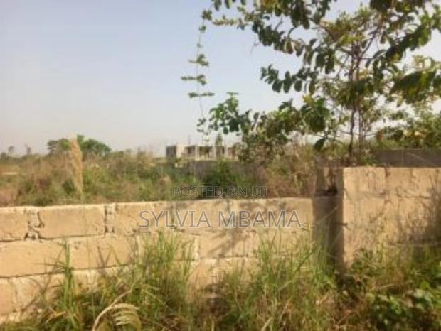 Two Plots of Land for Sale at Bortiano
