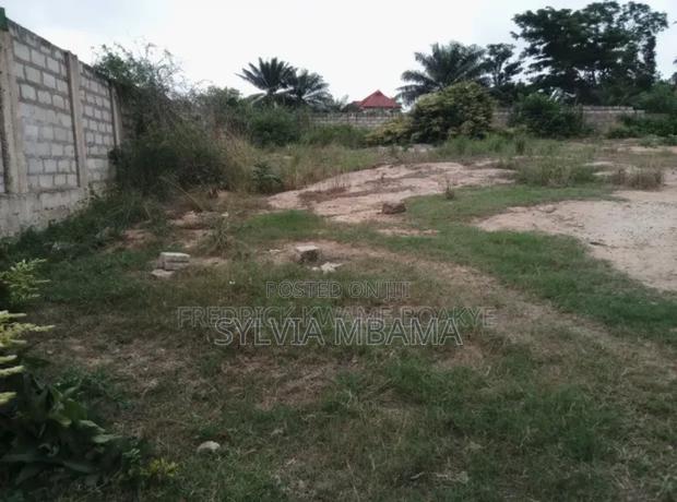 Two Plots of Land for Sale at Bortiano photo 2