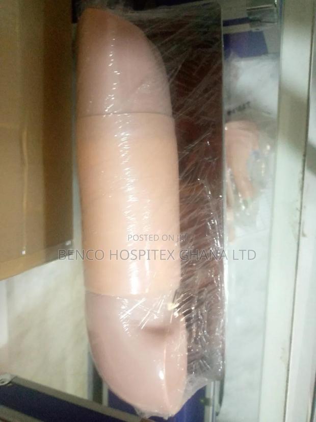 Arm Model (Short) · Photo 2