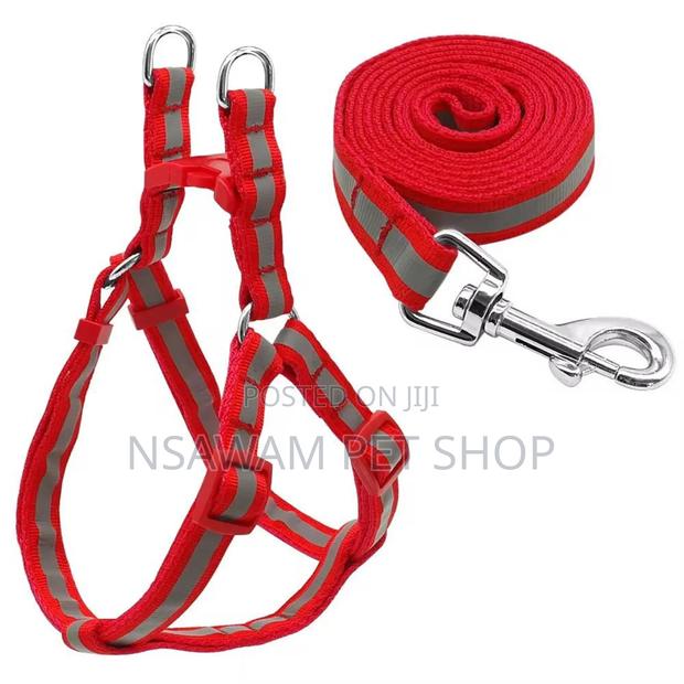 Reflective Leash Harness · Photo 3
