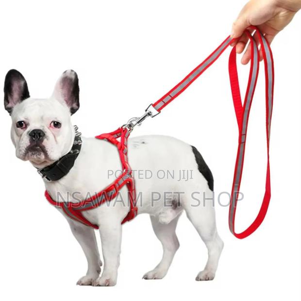 Reflective Leash Harness · Photo 4