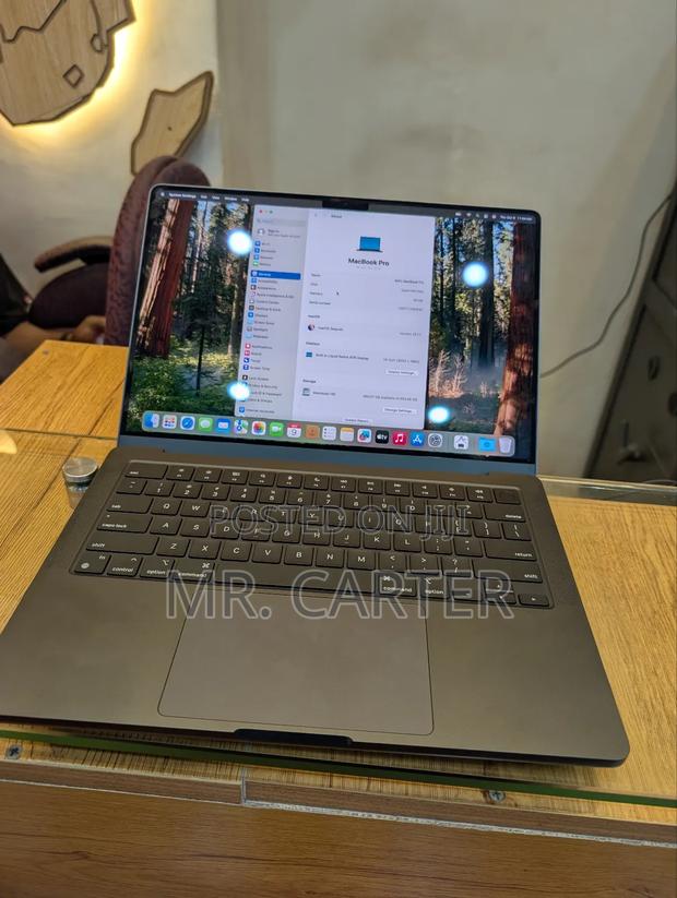 New Apple MacBook Pro 2024 M4 Max 14-Inch 36GB Apple M4 Max SSD 1T photo 3
