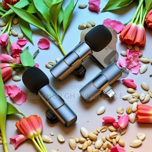 2 in 1 Wireless Microphone (543400) · Photo 2