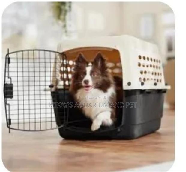 Plastic Mini Dog Cages · Photo 2