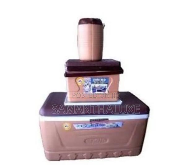45l Ice Chest 3in1 photo 3
