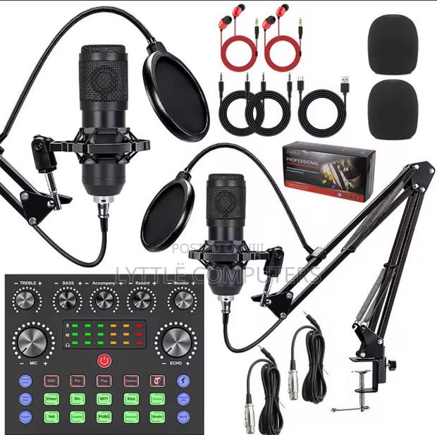 Professional Double Condenser Microphone · Photo 2