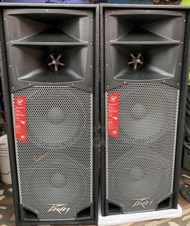 Peavey (Spider)Full Range Speakers (Pair) · Photo 2