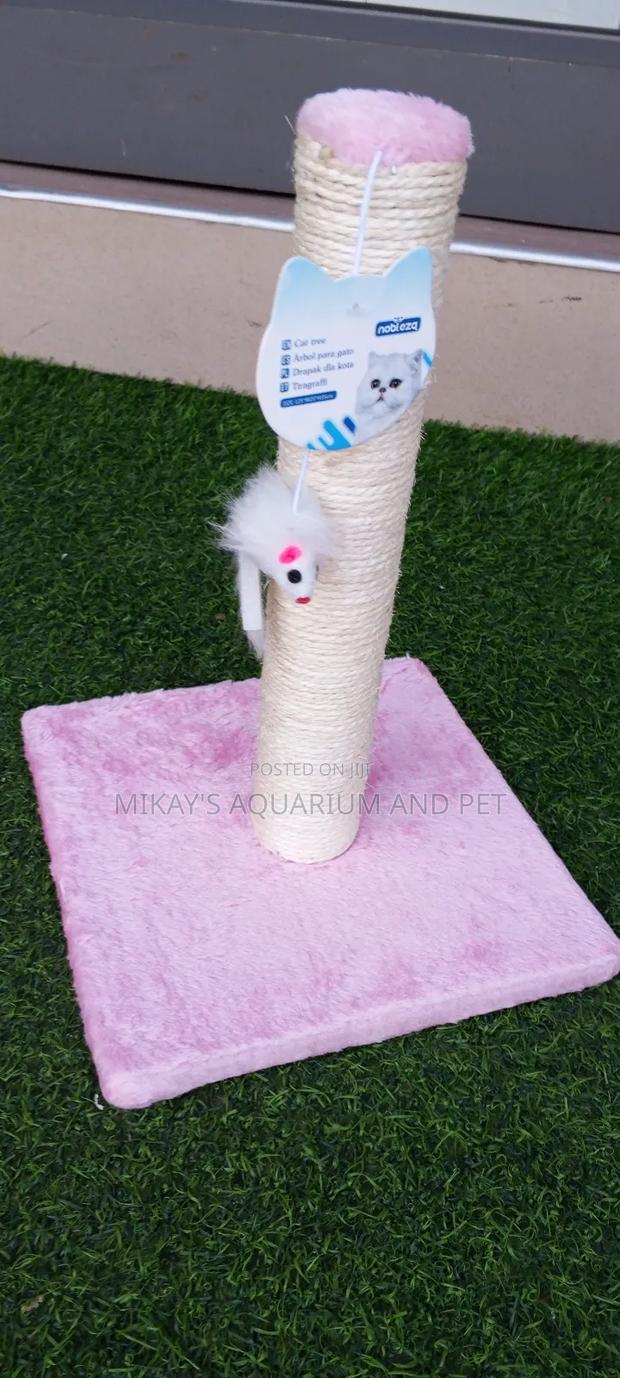 Long Scratching Post For Cat With Play Toy · Photo 2