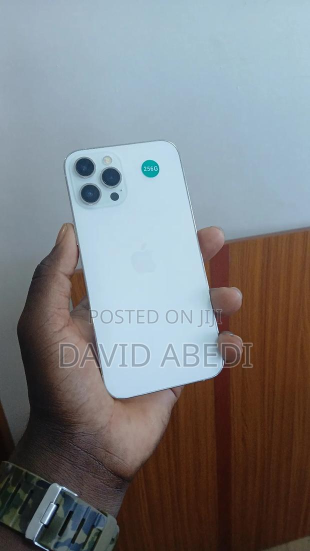 Apple iPhone 12 Pro Max 256 GB White photo 2