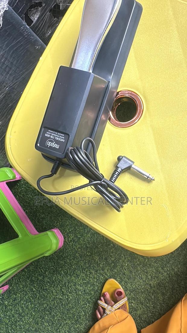 Sustain Peddle Tb-005 · Photo 3