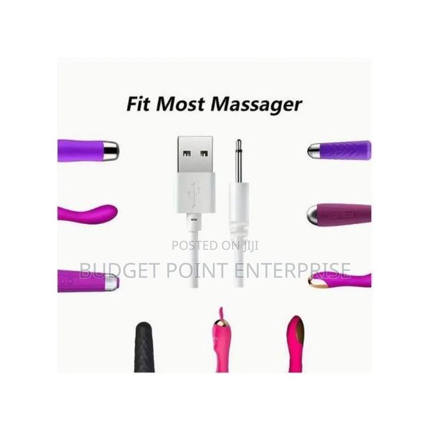 Universal Vibrator Sex Toy Charger Pin