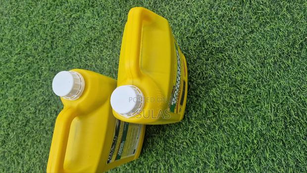 Radiator Coolant photo 3