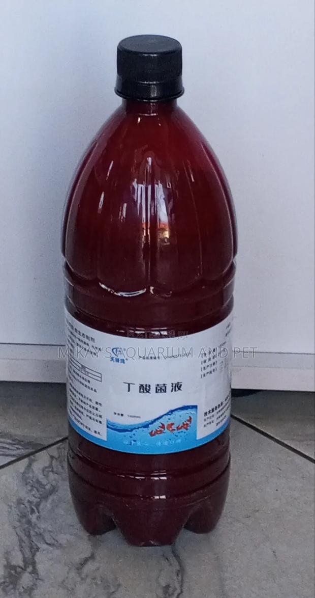 Probiotics For Aquarium Fishes · Photo 2