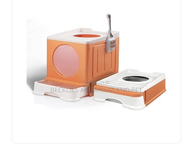 2 Colored Cat Litter Box · Photo 2