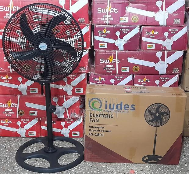 Qiudes 2 in 1 Standing Fan.