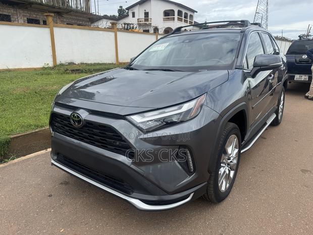 Toyota RAV4 2024 Gray