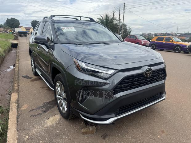 Toyota RAV4 2024 Gray