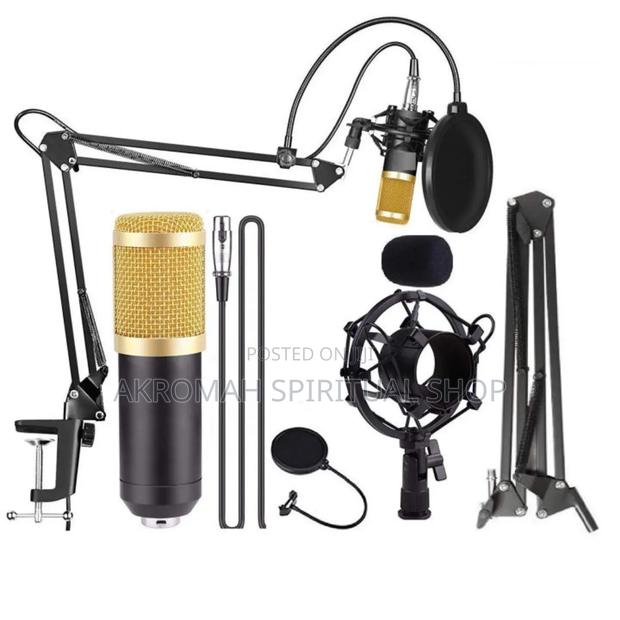 Professional Condenser Studio Microphone