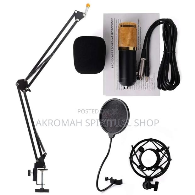 Professional Condenser Studio Microphone photo 2