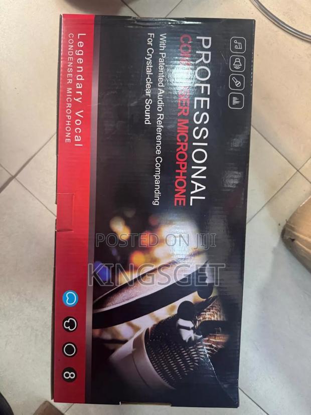 2 In 1 Double Professional Condenser Microphone photo 2