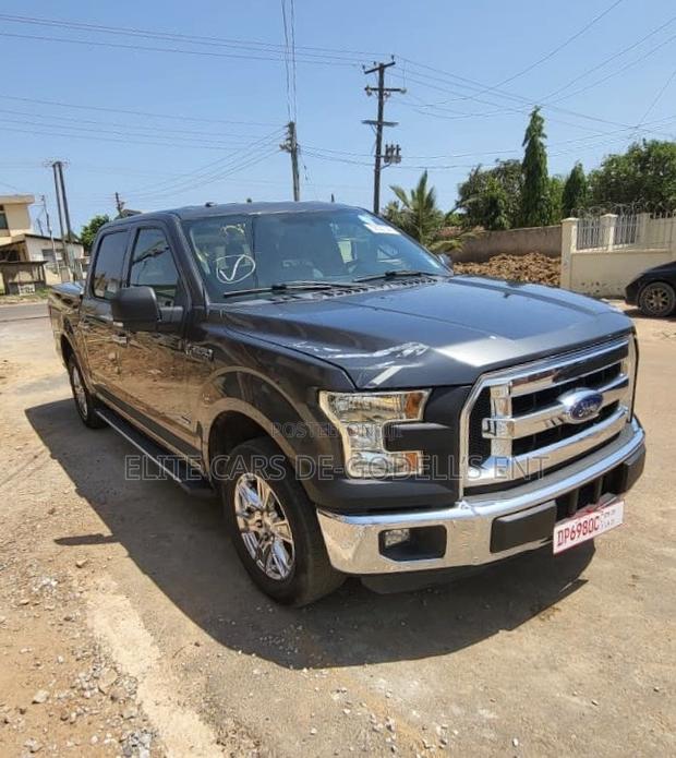 Ford F-150 XL 4x4 Regular Cab Styleside 8 ft. box 141 in. WB 2016 Gray photo 3