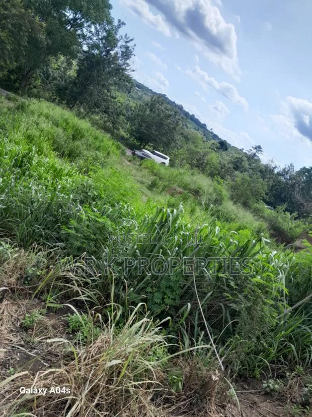 Land for Sale · Photo 2
