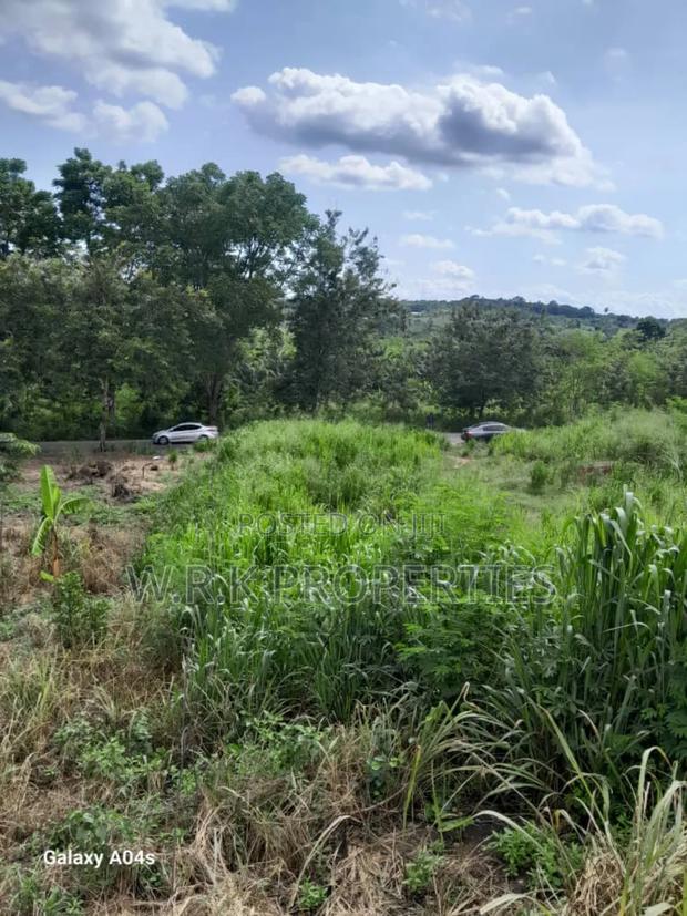 Land for Sale · Photo 3