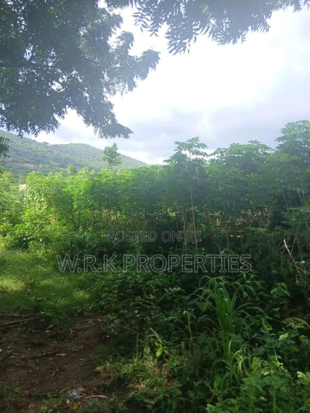 Land for Sale · Photo 4