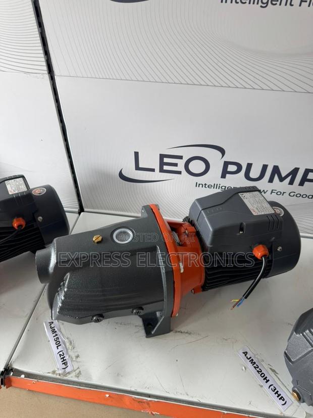 Grab Your Favorite 2.0hp Water Leo Electric Pump · Photo 2