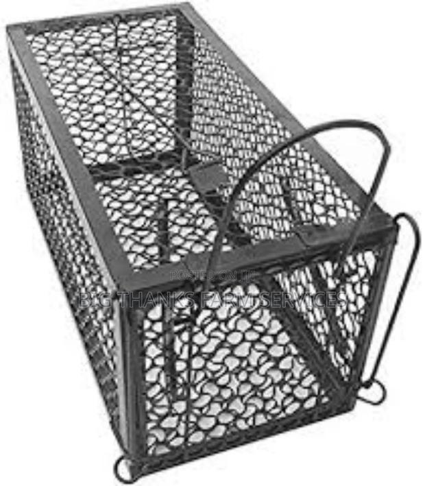 Cage Traps For Cats, Bigger Rodents · Photo 2