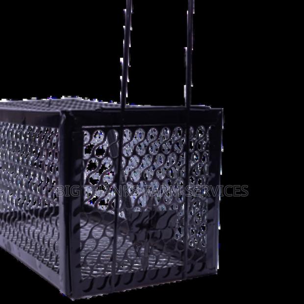Effective Cage Traps For Different Animals · Photo 4