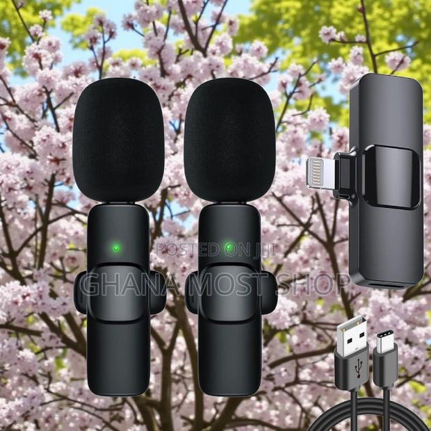 Wireless Microphone (2 in 1) 86500