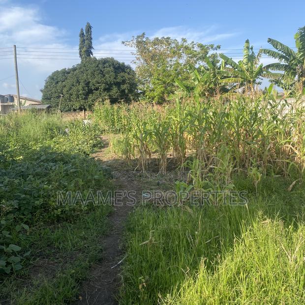 35x100 Titled Land at Pantang Nyamekrom · Photo 2