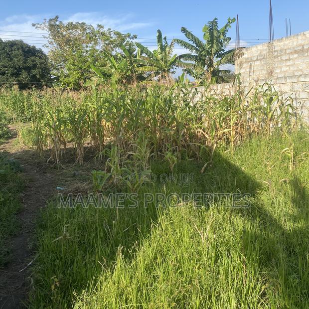 35x100 Titled Land at Pantang Nyamekrom · Photo 3