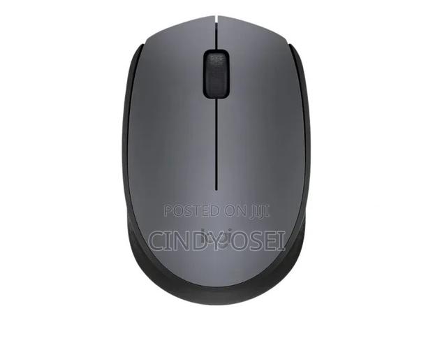 Logitech Wireless Mouse M171