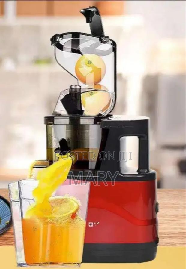 Slow Juicer photo 3
