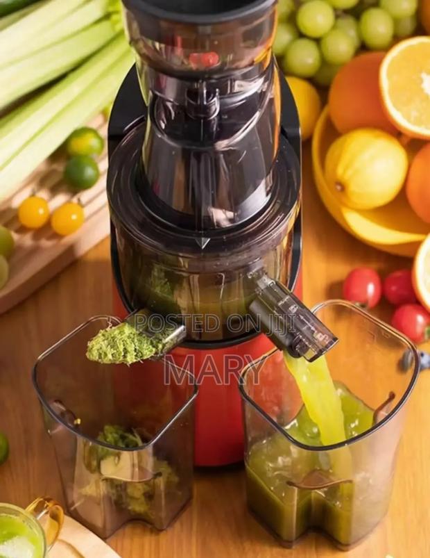 Slow Juicer photo 4